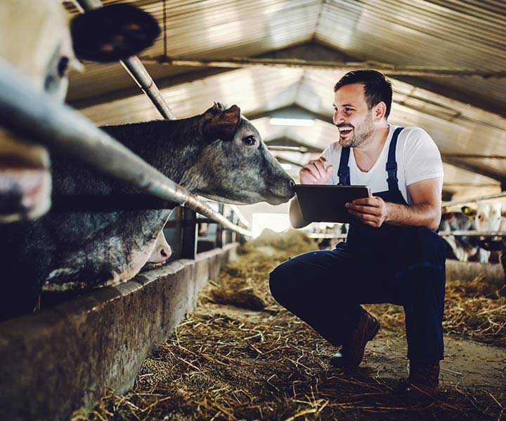 Landwirt bei der Arbeit